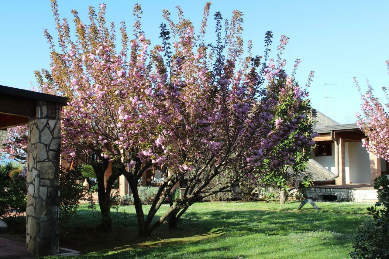 B&B Villa Sbaraglia Alatri Eksteriør billede