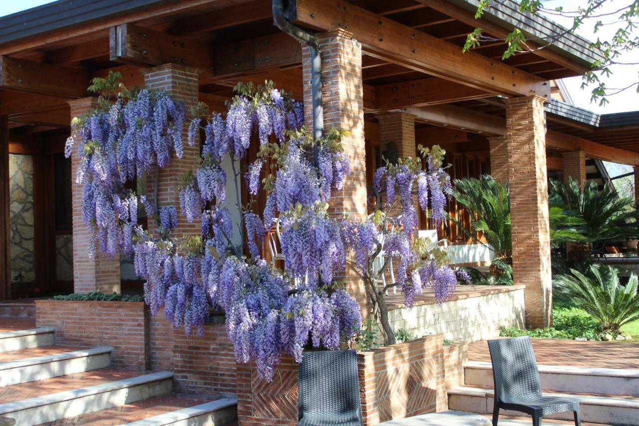 B&B Villa Sbaraglia Alatri Eksteriør billede